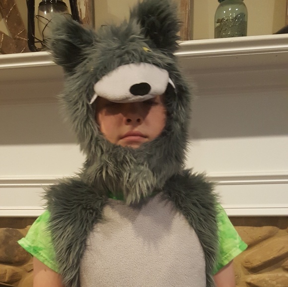 Pottery Barn Kids Costumes Big Bad Wolf Costume Brand New Poshmark